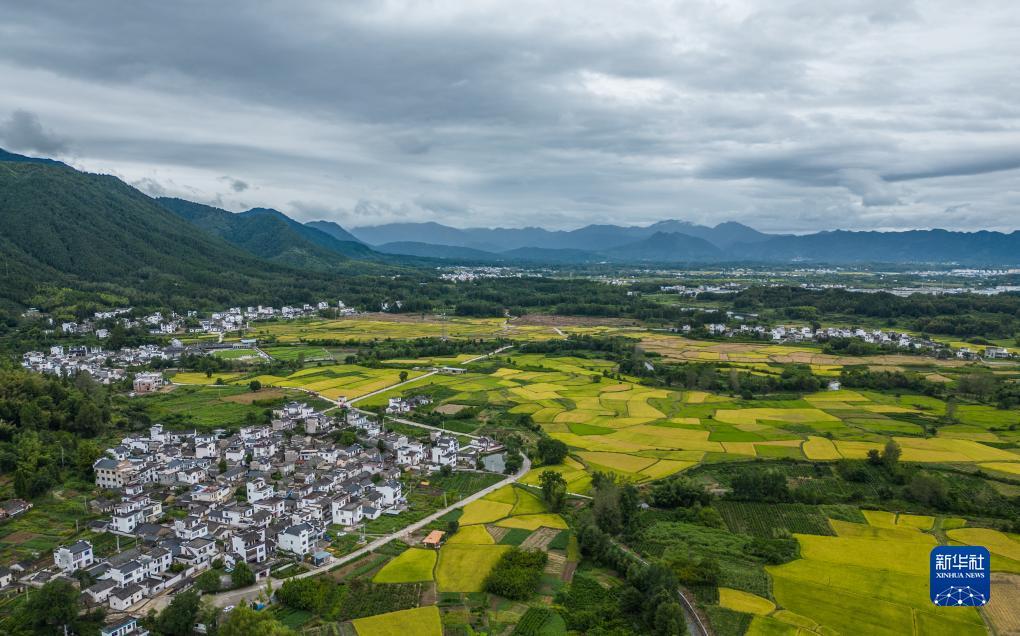 新普京app