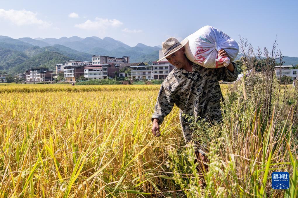 现金网打水风控